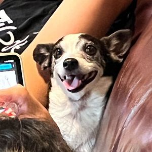 Meet your Posher, Chris